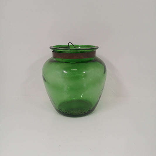 Plantanova Green Vase