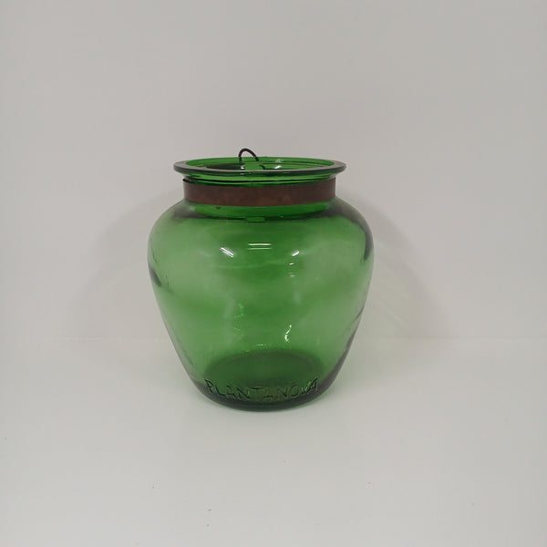 Plantanova Green Vase
