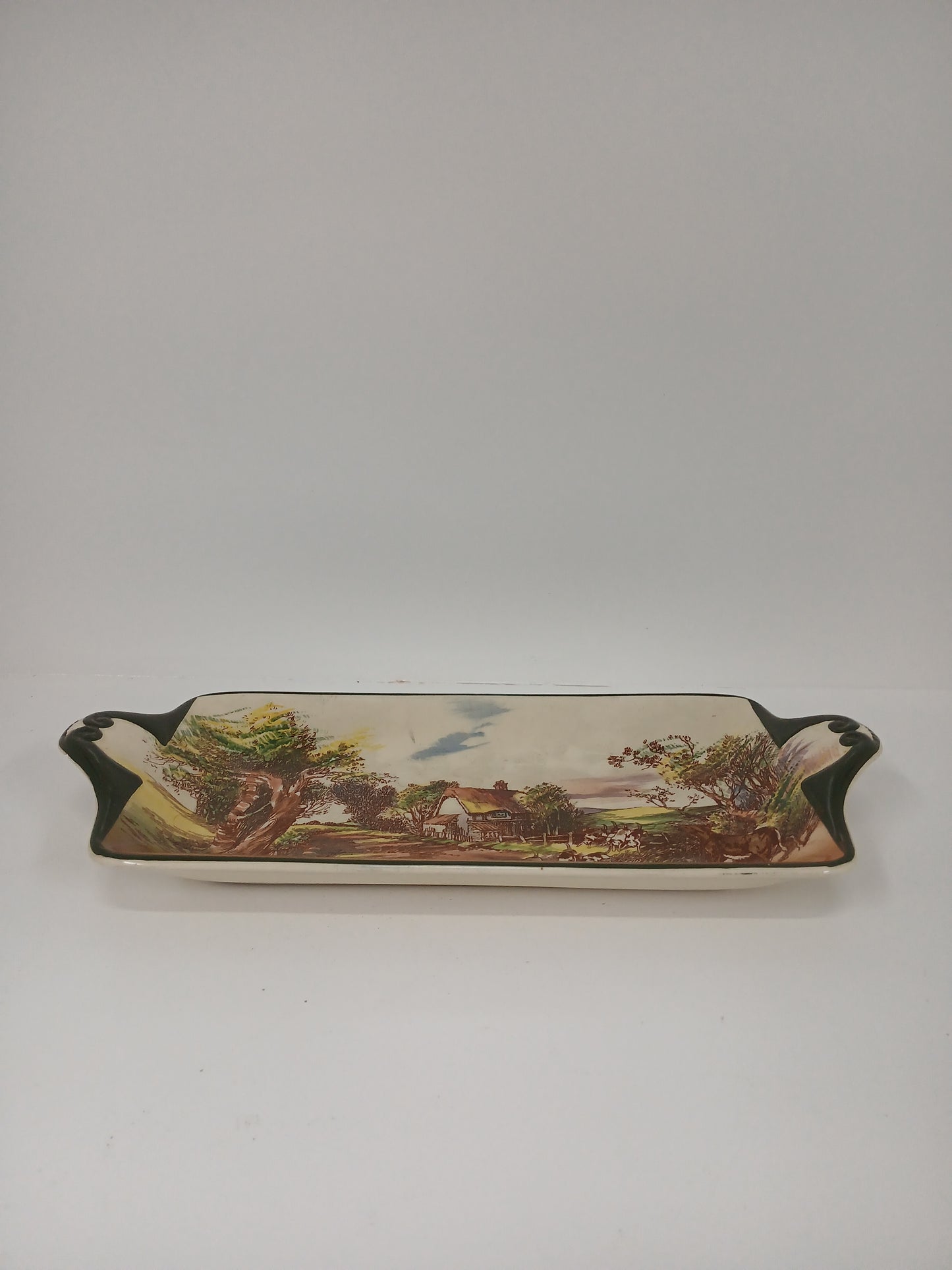 Royal Doulton Tray