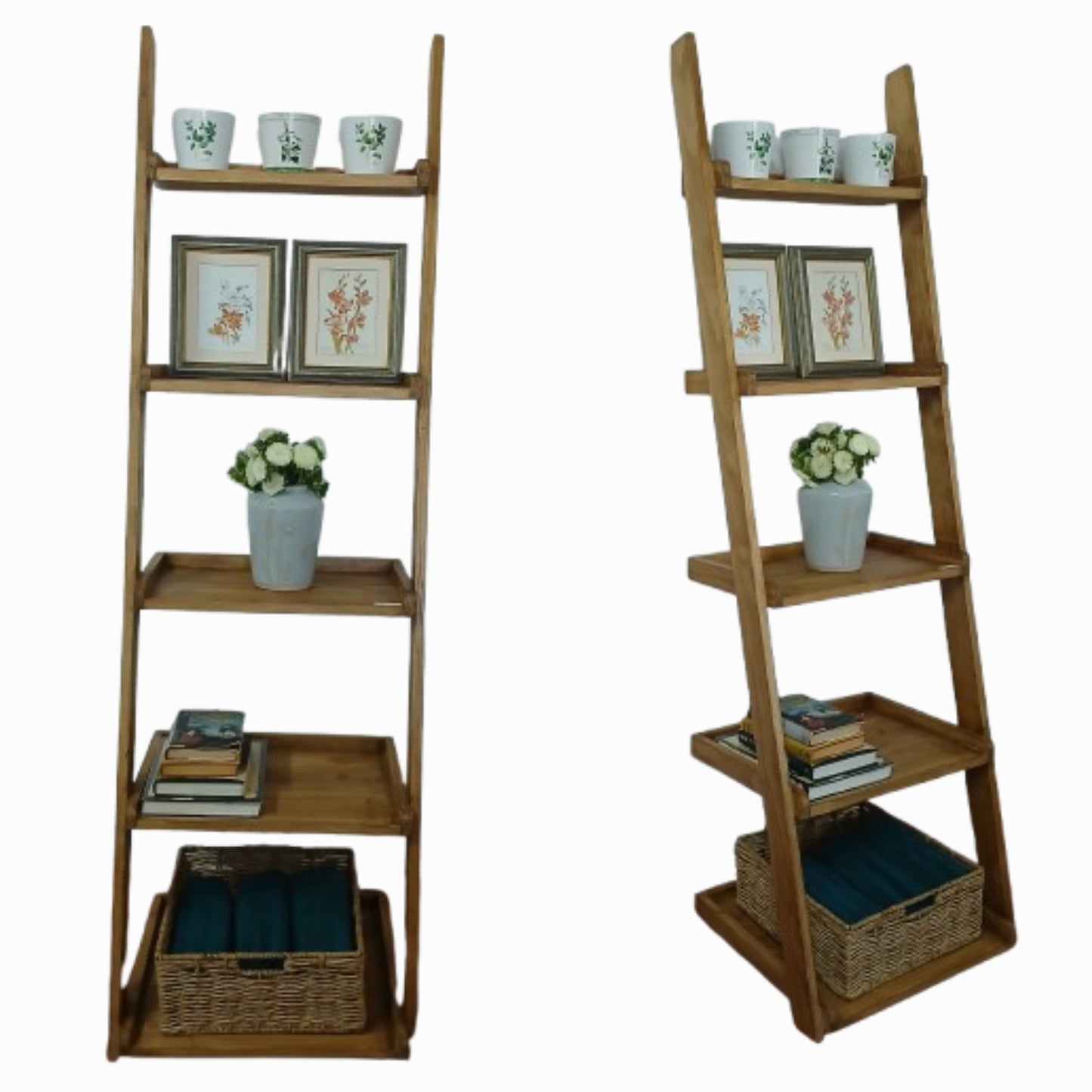 Wall ladder shelf